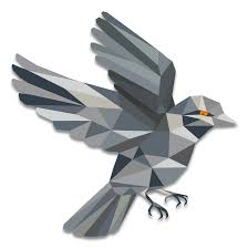 Sparrow Icon